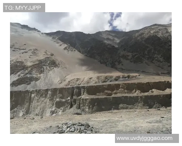 深度探讨王秀英在英雄联盟中的成长与挑战之路 深度探讨王秀英在英雄联盟中的成长与挑战之路